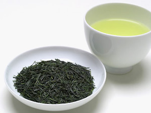 Sencha