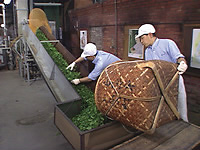 Crude Tea Production Factory