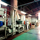 Crude Tea Production Factory