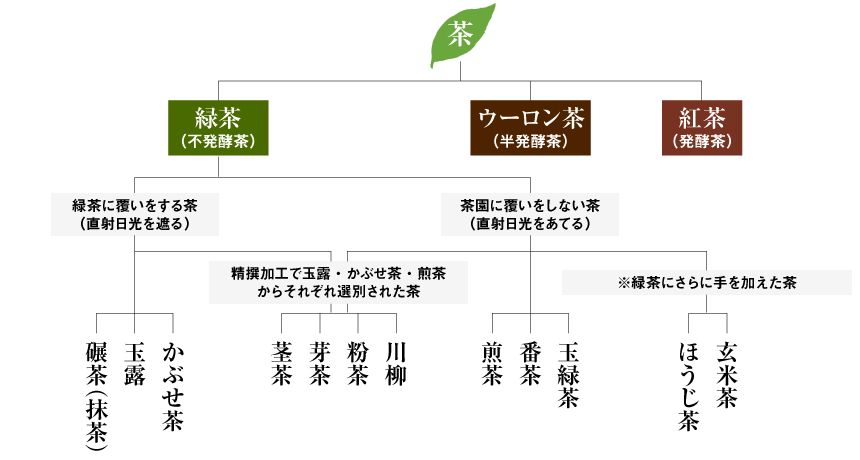 お茶の種類　説明図