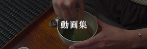 動画集