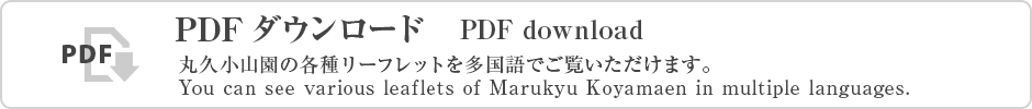 PDFダウンロード